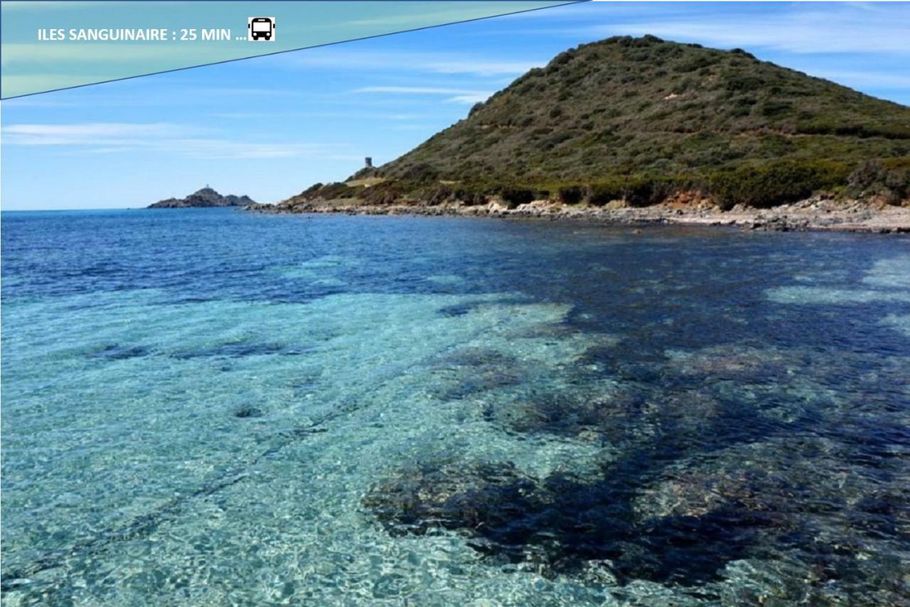 Centre Ajaccio ☆ Wifi ☆ Clim ☆ Plages Экстерьер фото